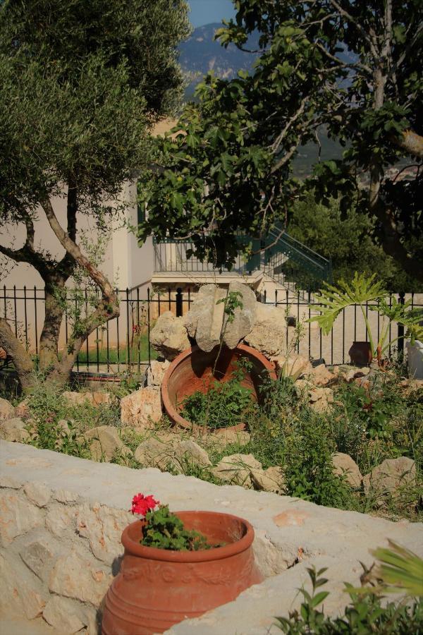 Nikoleta'S Studios Αργοστόλι Εξωτερικό φωτογραφία